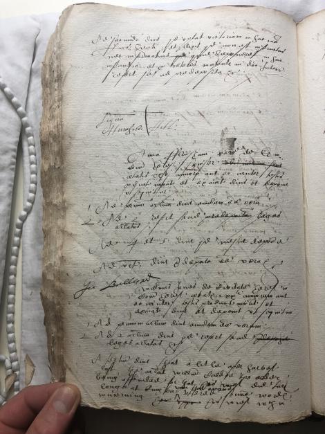 Image of f. 206v
