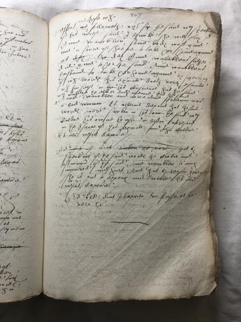 Image of f. 207r