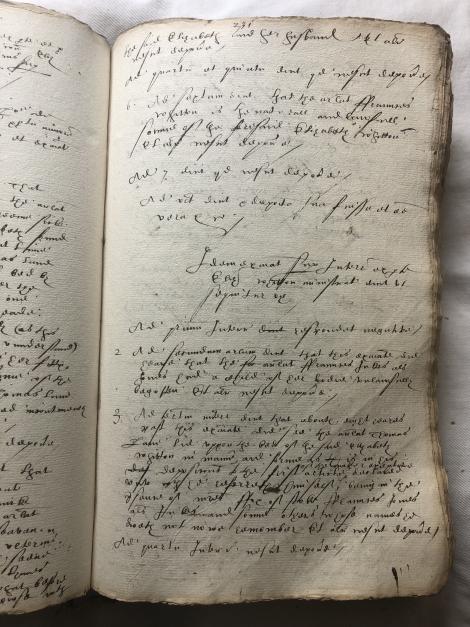 Image of f. 231r
