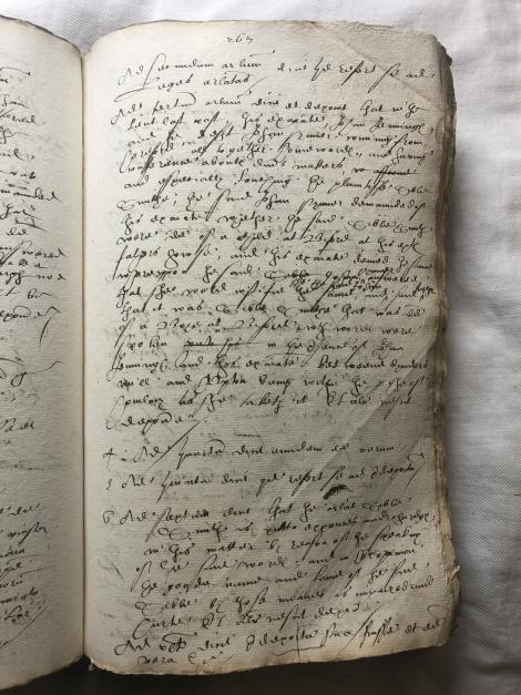 Images of f. 265r