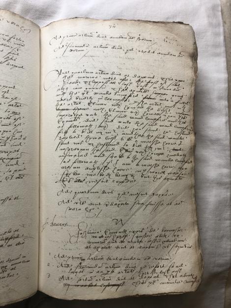 Image of f. 311r
