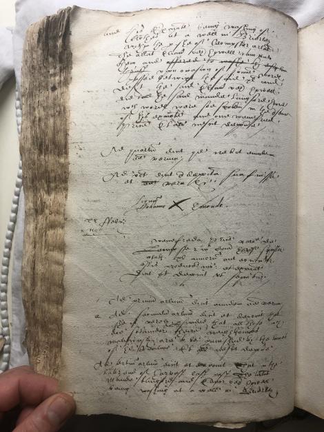 Image of f. 311v