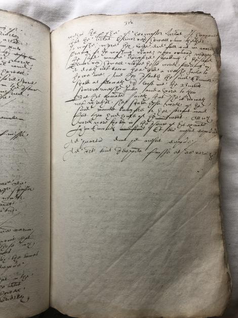 Image of f. 312r