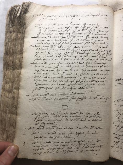 Image of f. 372v